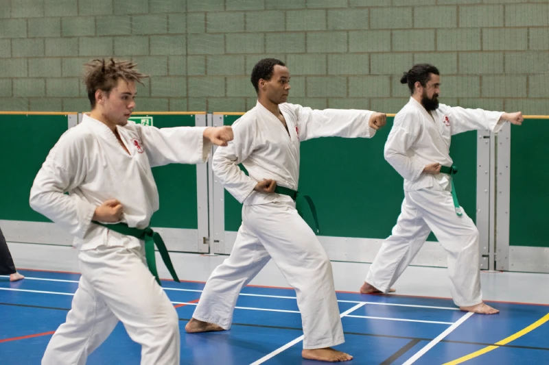 3 green belt men practice patterns
