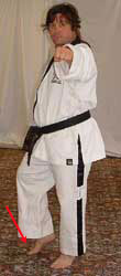 Pull back (right) foot forwards, raise front (left) arm to reach forwards