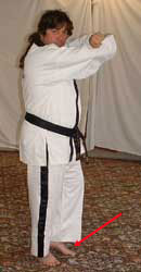 Turn head to look right towards C, pull front (left) leg back, raise arms to chamber for middle block