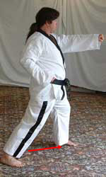 11) Move left foot forwards to form a left walking stance performing a middle section obverse punch (reaction hand to the belt) towards A.