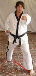 13) Move left foot diagonally forwards to form a left walking stance performing a middle section obverse punch (reaction hand to the belt) towards C.