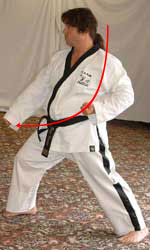 14) Turn 90° to the right hip-twisting into a right walking stance towards B whilst performing a right low block