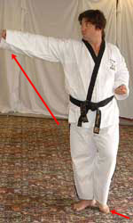 Pull left leg forwards, raise front hand and reach forwards