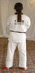 When instructed (barro) pull left leg back and turn 90° right towards D to return to chunbi (parallel ready stance – narani chunbi soggi)