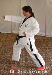 Walking stance length