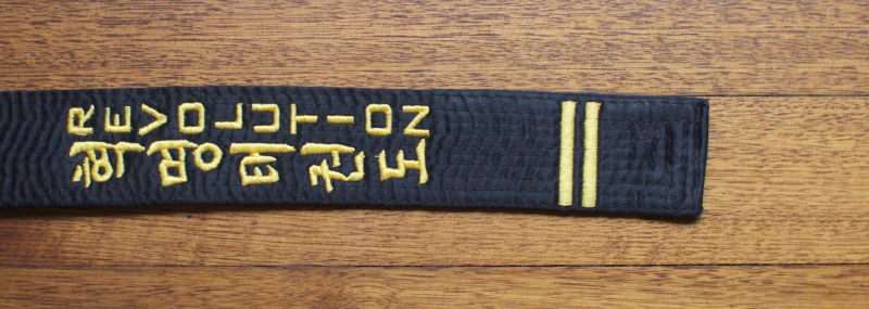 Revolution Black belt